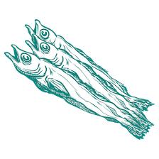 illustration of dehydrated fish