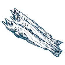 illustration of dehydrated fish