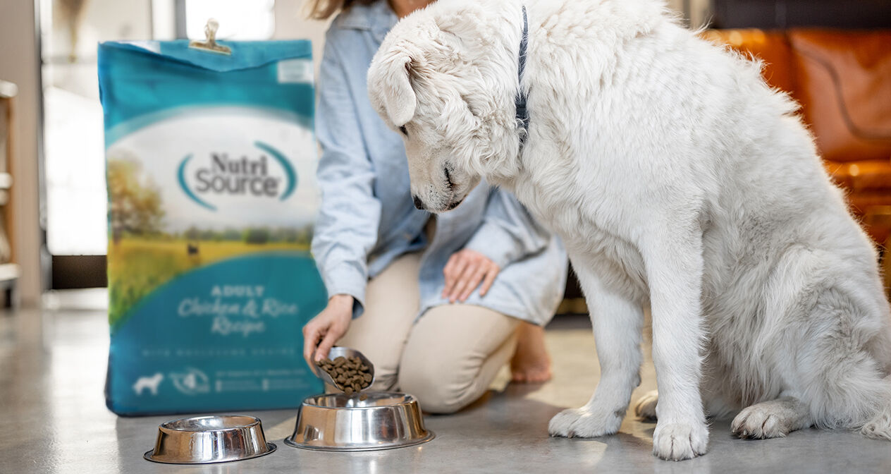 person pouring NutriSource dry dog food into a bowl and dog waiting