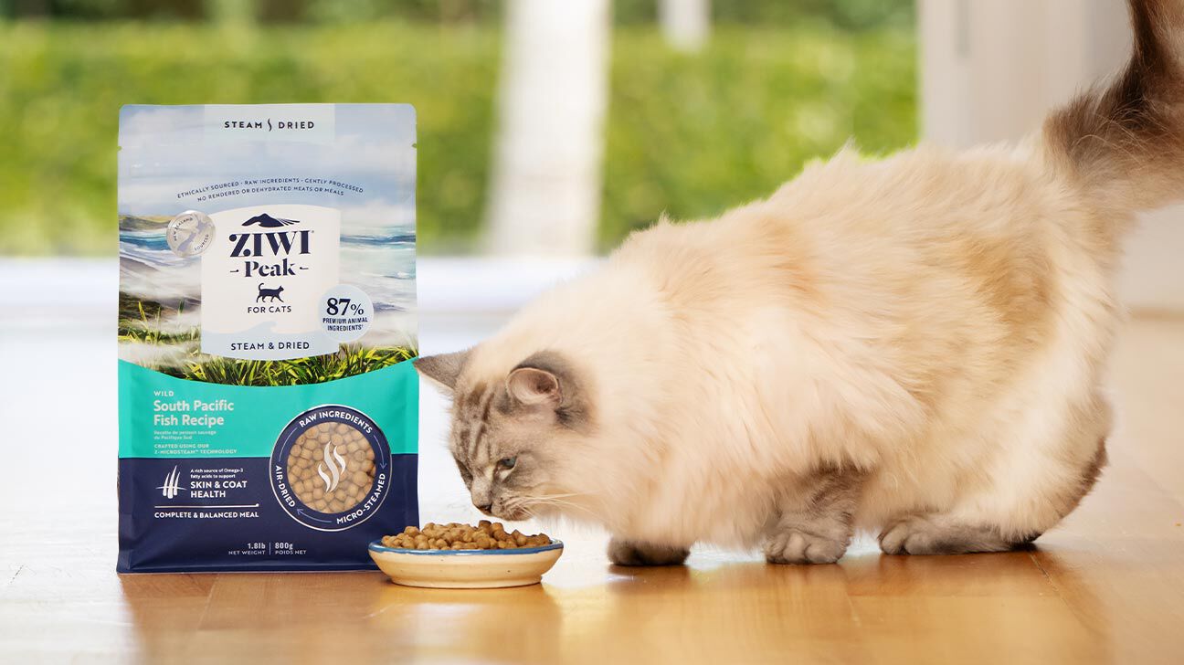 cat eating from food bowl with bag of ZIWI Peak Wild South Pacific Fish Steam & Dried Recipe 