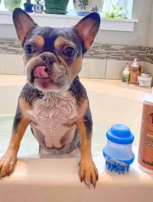 Montana taking a bath with supplies