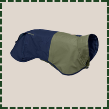coupon clipping of dog coat