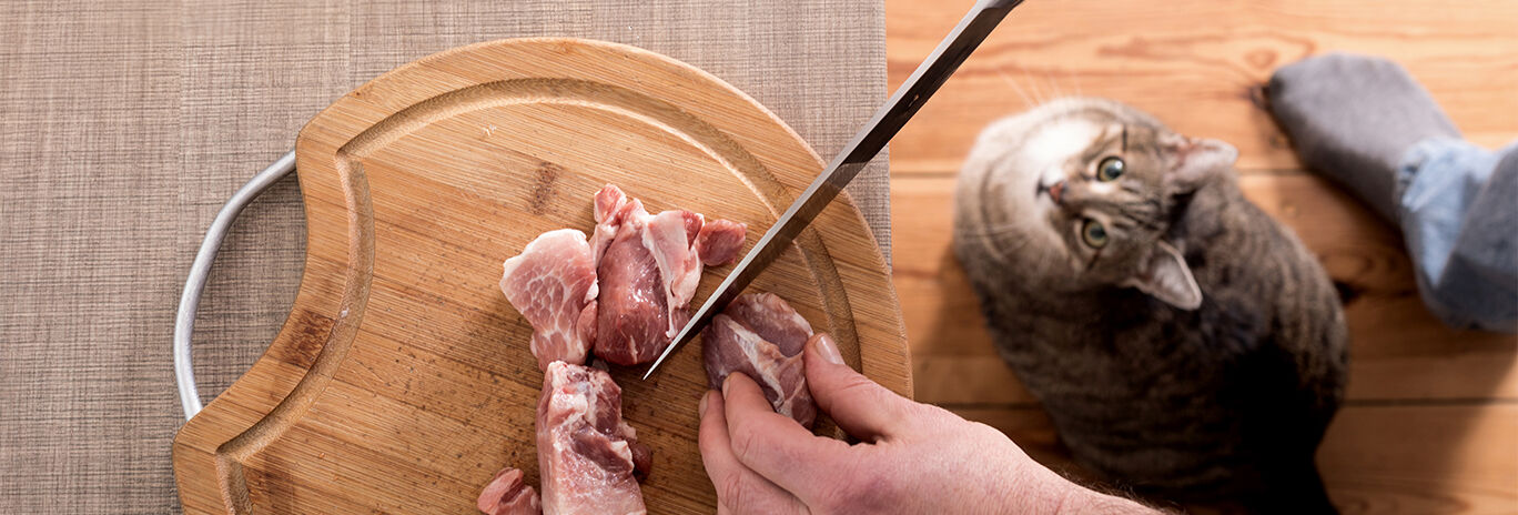 hand cutting up some meat while cat watches
