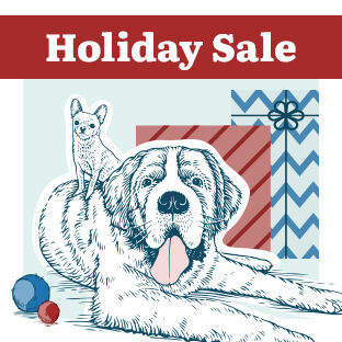 illustration of two dogs with two sizes of ball toys