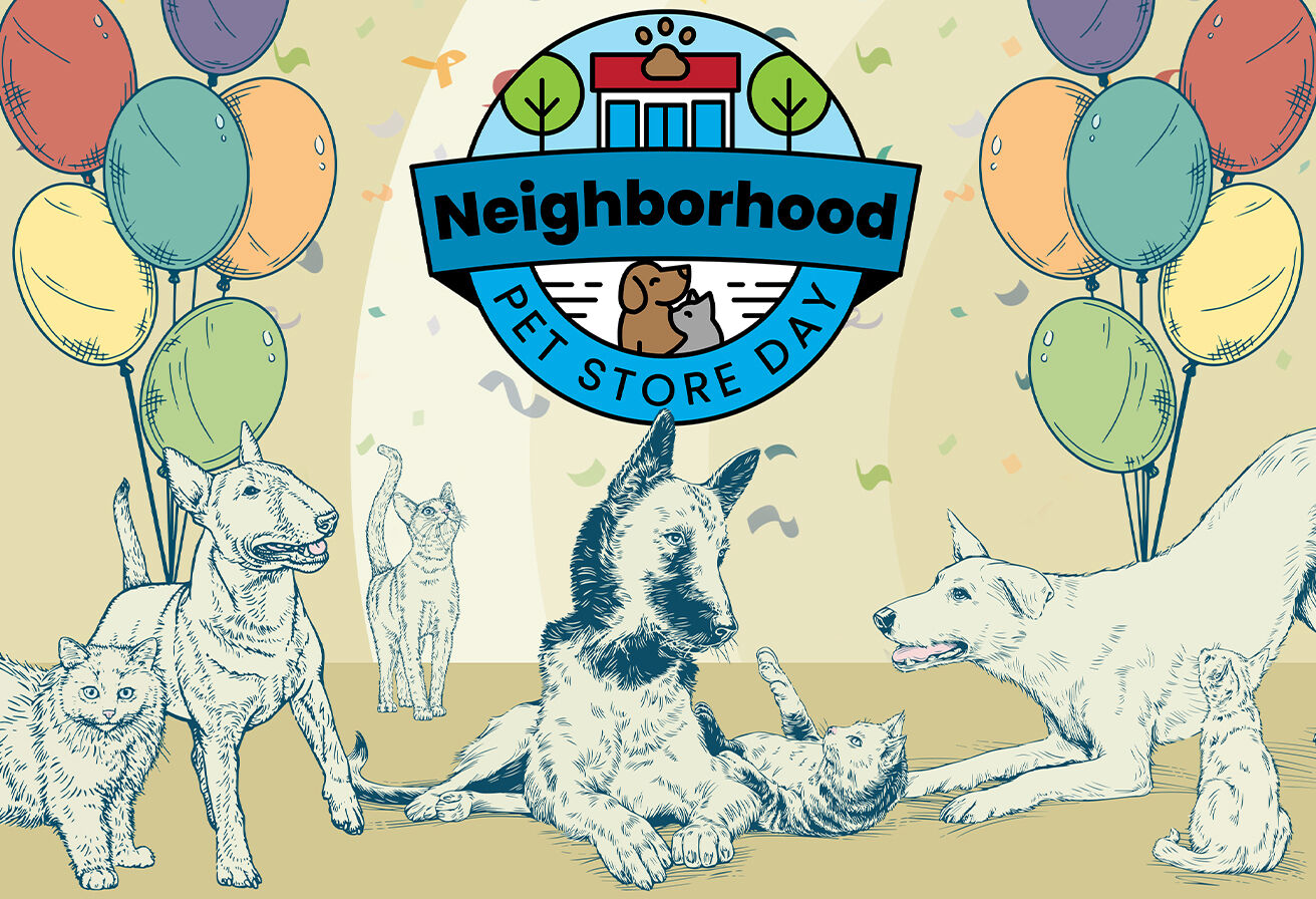 Mud Bay Pet Store | Homepage