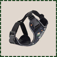 coupon clipping of cat harness