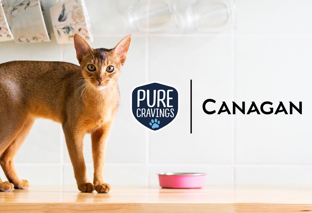 cat with Pure Cravings and Canagan food brand logos