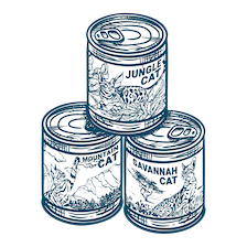 illustration of variety pack cans (Jungle Cat, Mountain Cat, Savannah Cat)
