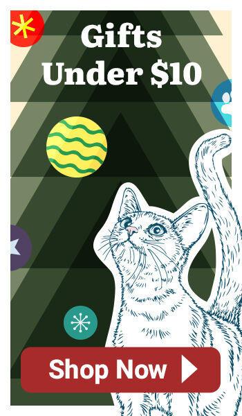 Shop Gifts Under $10