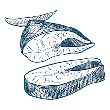 illustration of raw fish