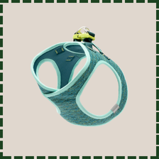 coupon clipping of dog harness