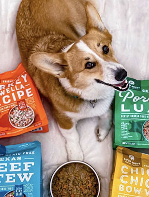 dog laying with bowl of food and bags of A Pup Above