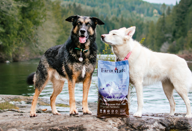 two dogs next to a bag of FirstMate dog food out in the wild