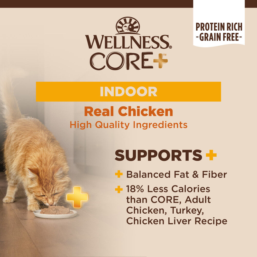 Wellness core cat food indoor shop