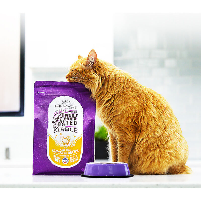 Mud Bay Buy Stella & Chewy's Raw Coated Dry Cat Food, Chicken, 2.5lb