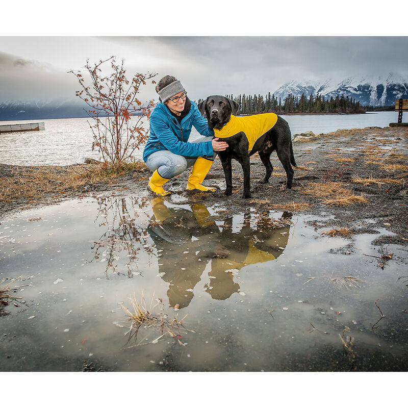 RC Pets Delta Dog Rain Slicker, Lemon, XX-Small image number null