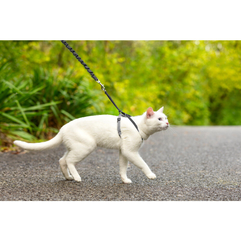 Petsafe come with me kitty discount