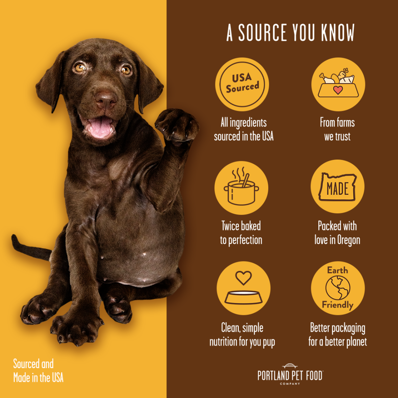 Gluten dog outlet