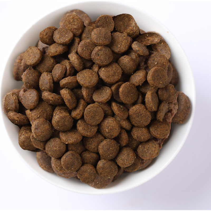 Farmina N&D Quinoa Dry Cat Food, Digestion image number null