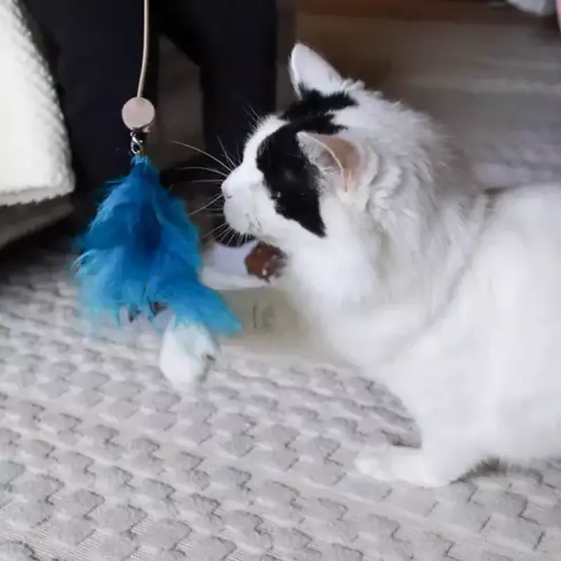 Turbo by Coastal Telescoping Wand with LED Pointer Cat Toy image number null