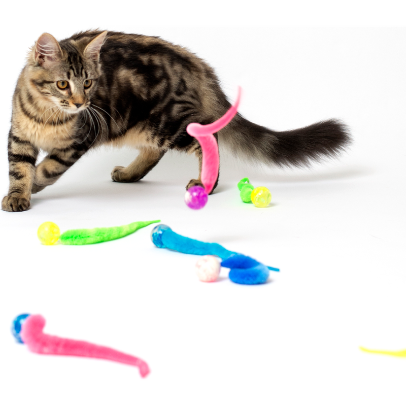 Dezi & roo clearance