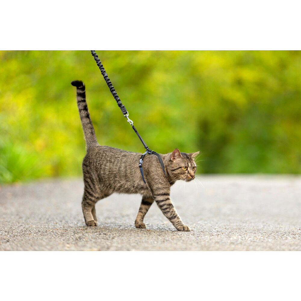 Come with me kitty leash top