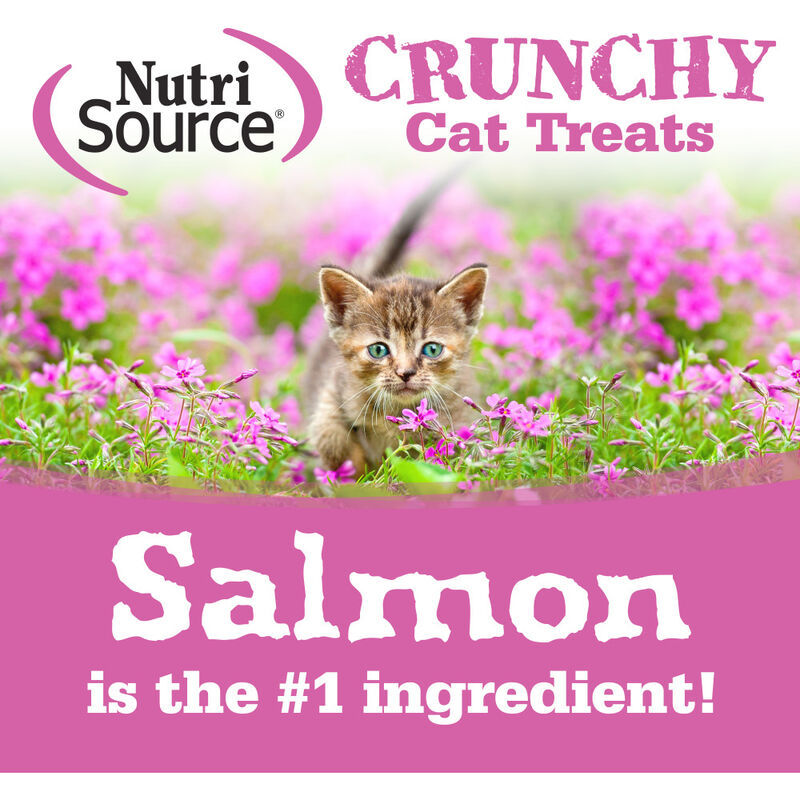NutriSource Crunchy Cat Treats, Salmon & Tuna, 3-oz image number null