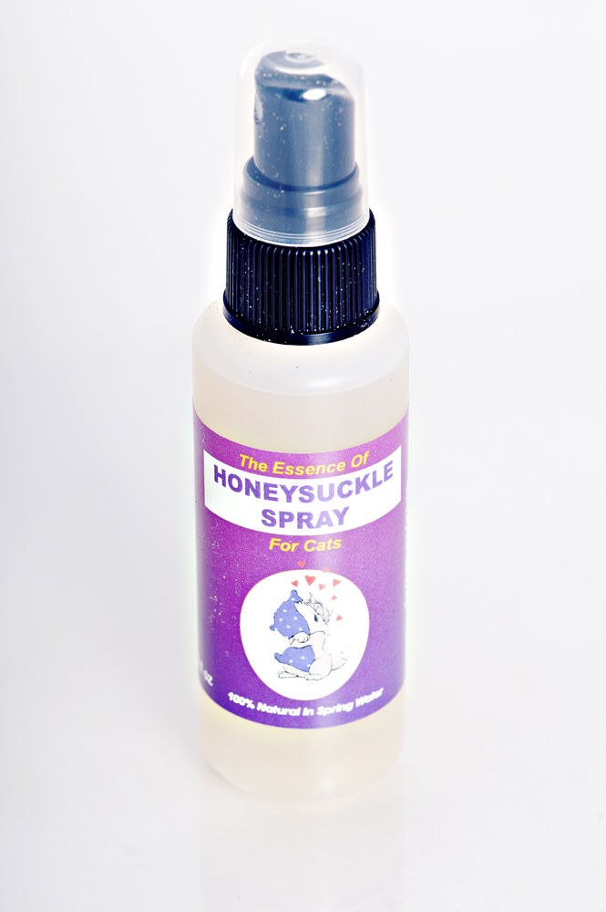 Honeysuckle spray for cats hotsell