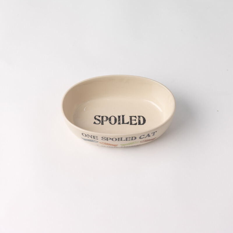 PetRageous Designs Stoneware Pet Bowl, One Spoiled Cat, Oval, 6.5-in, 2-cup image number null