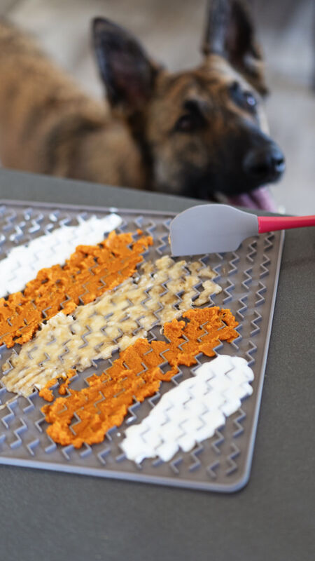 Mud Bay  Buy Messy Mutts Silicone Therapeutic Dog Feeding Mat