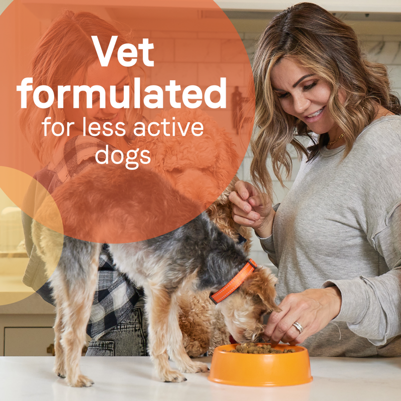 Canidae less active top