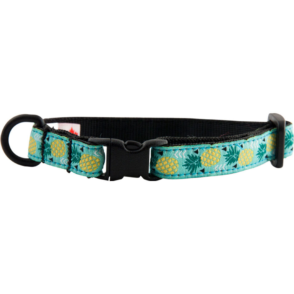 Pineapple hotsell cat collar