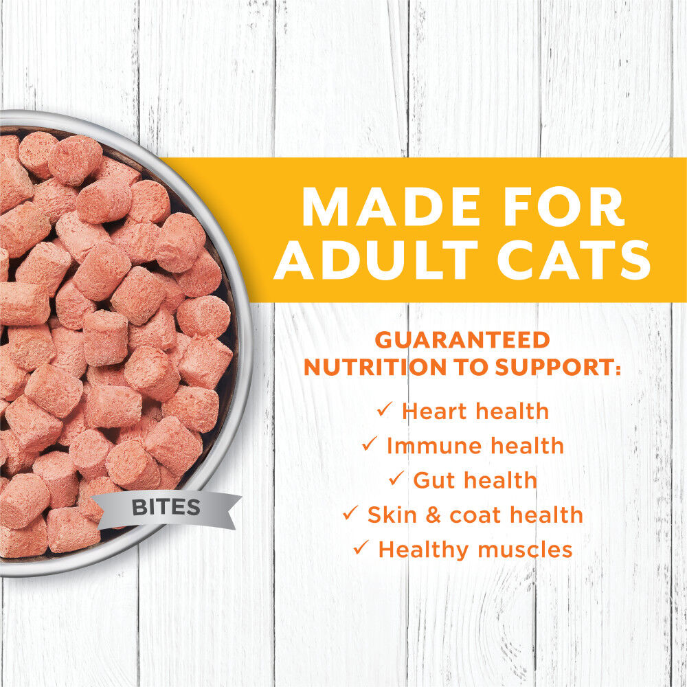 Instinct frozen cat food on sale