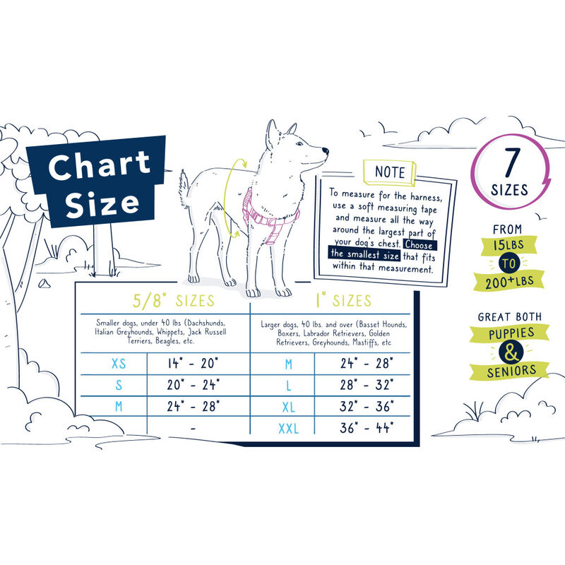 2 Hounds Design Freedom No-Pull Dog Harness, Blue image number null