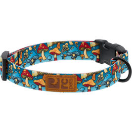 RC Pets Eco Dog Collar, Funky Fungi, Large