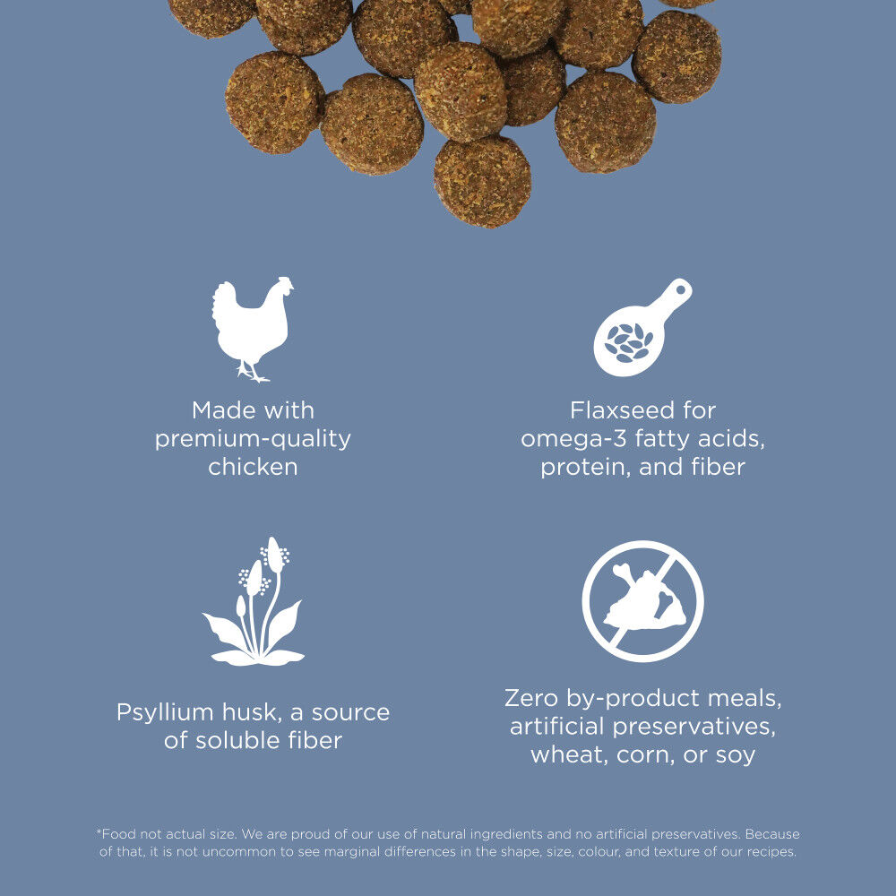 Weight management dog clearance food without chicken