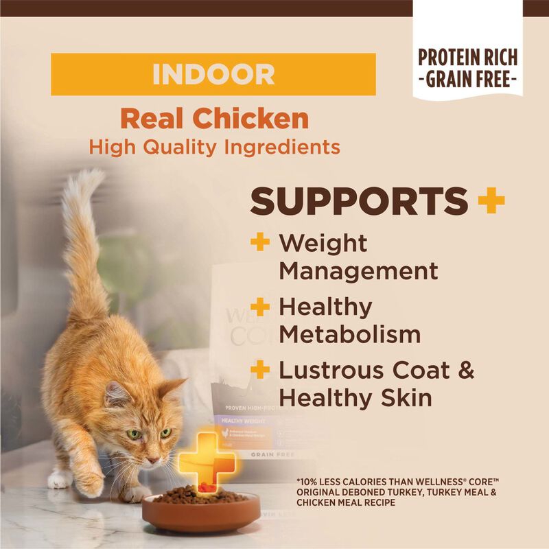 Wellness Core Grain-Free Dry Cat Food, Indoor, Chicken & Turkey image number null