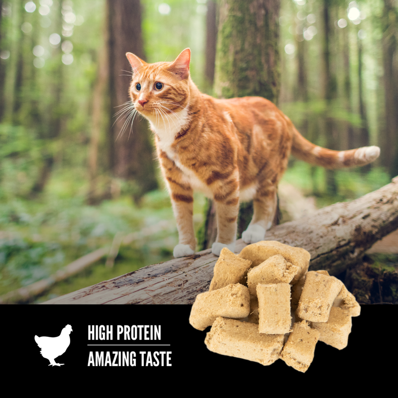 Orijen cat treats clearance
