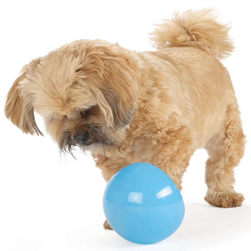 Planet Dog Orbee Ball - Dog Toys 