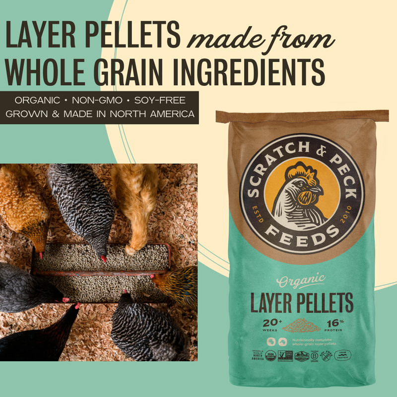 Scratch and Peck Feeds Organic Chicken & Duck Feed, Layer Pellets 16%, 35-lb image number null