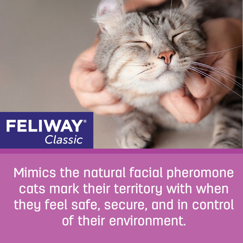 Feliway Classic Calming Cat Pheromones, Refill image number null