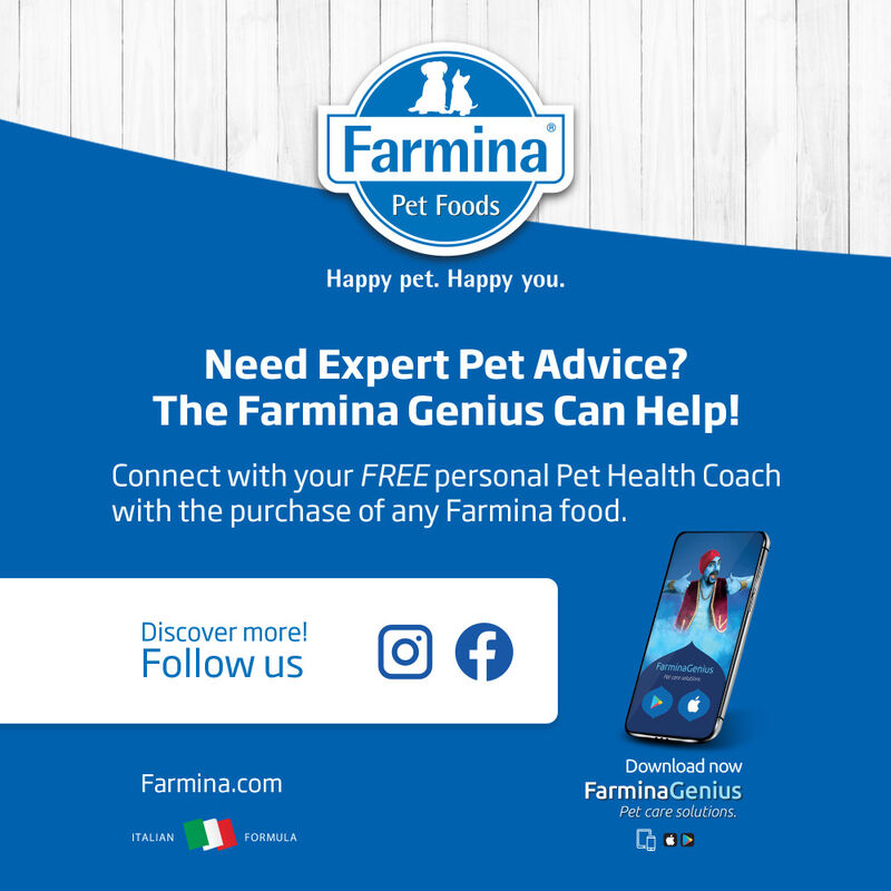 Farmina N&D Quinoa Dry Cat Food, Digestion image number null