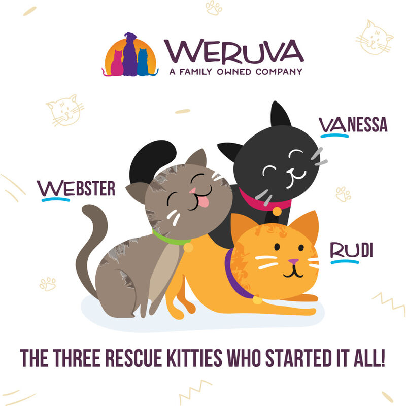 Weruva Classic Canned Cat Food, Paw Lickin' Chicken, Chicken, 10-oz image number null