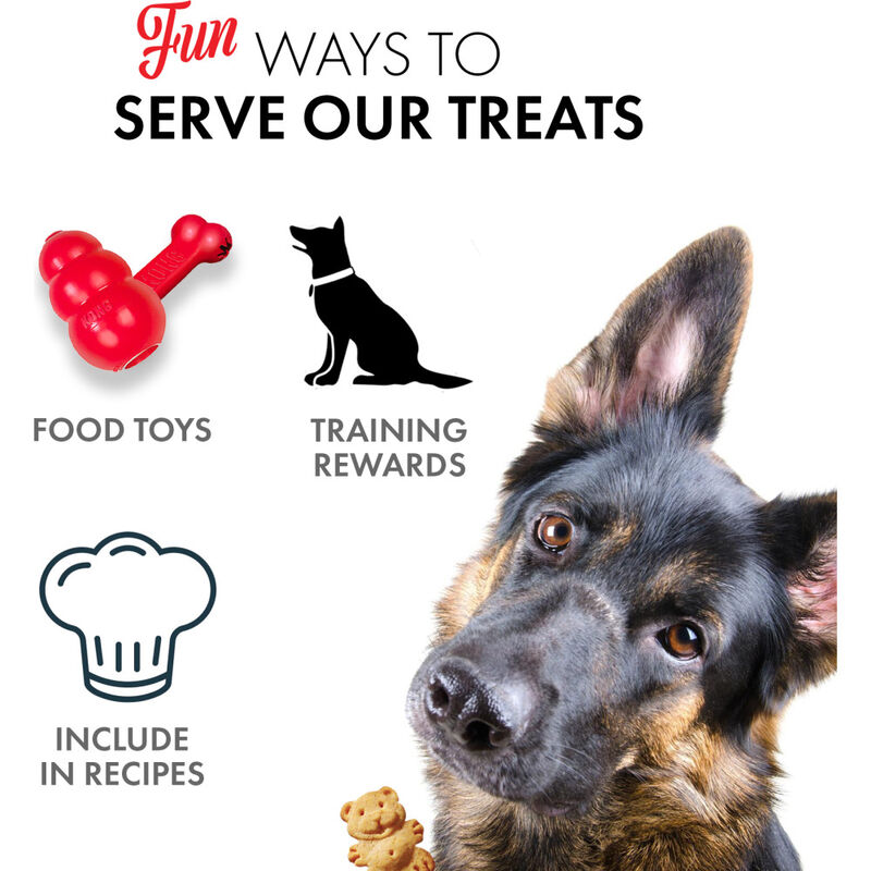 Grandma Lucy's Organic Oven-Baked Dog Treats, Apple, 14-oz image number null