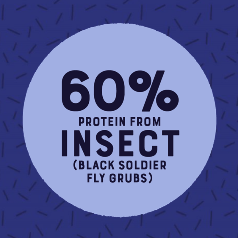 Yora Insect Superfood Dry Dog Food, Adult, Senior image number null