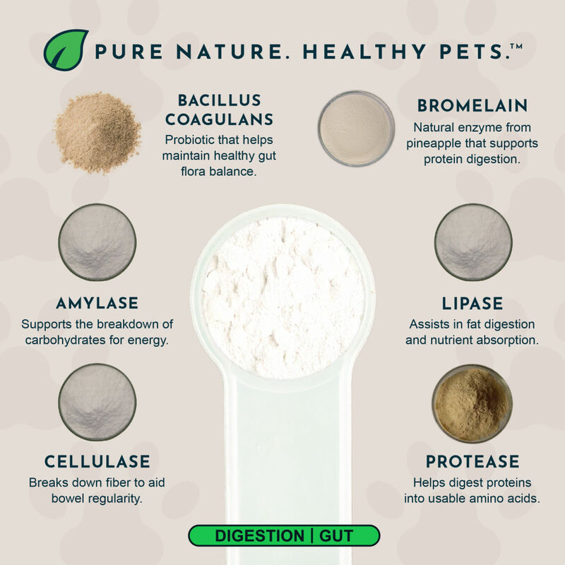 Animal Essentials Plant Enzyme & Probiotics Digestive Dog & Cat Supplement, 3.5-oz image number null