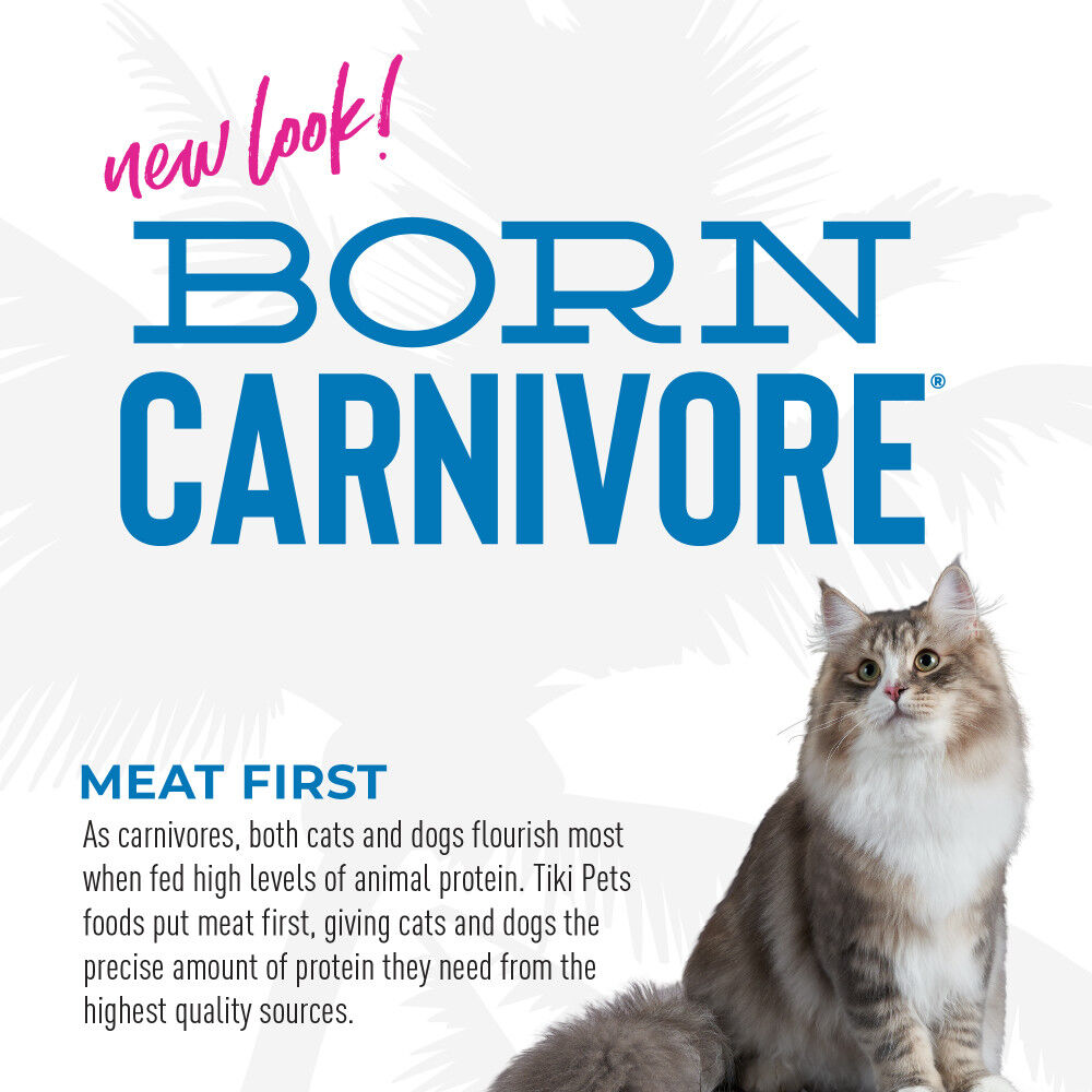 Carnivore outlet cat food