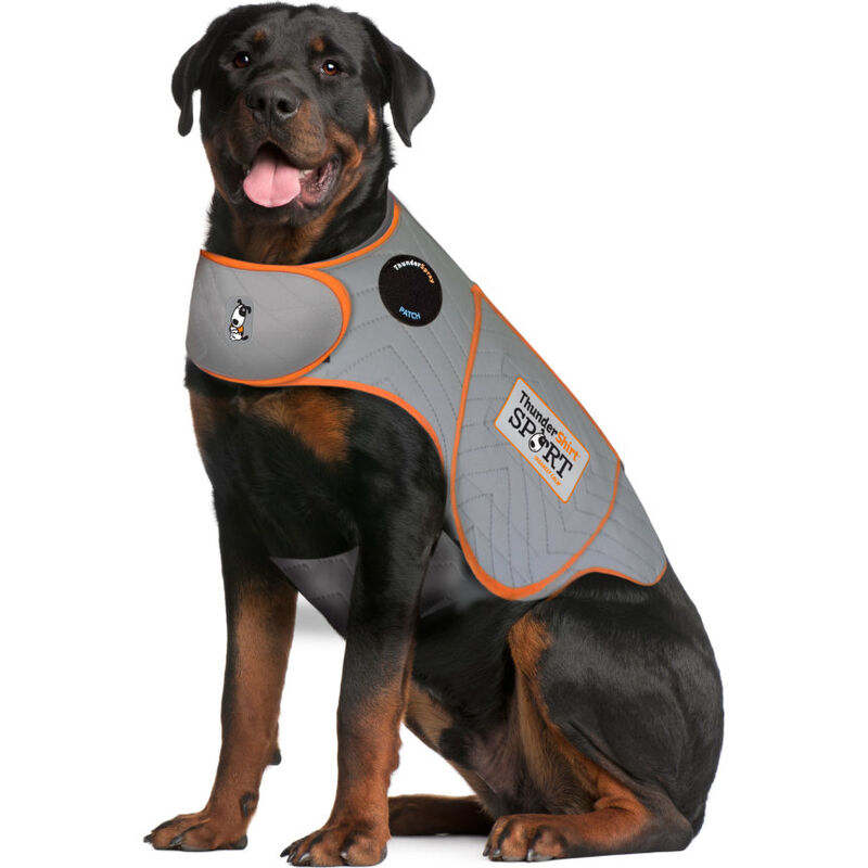 ThunderShirt SPORT Platinum Anxiety & Calming Solution for Dogs, Heather Grey, XX-Large image number null