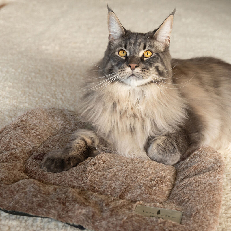 LeftPine x P.L.A.Y. Cat Bed, Crinkle image number null