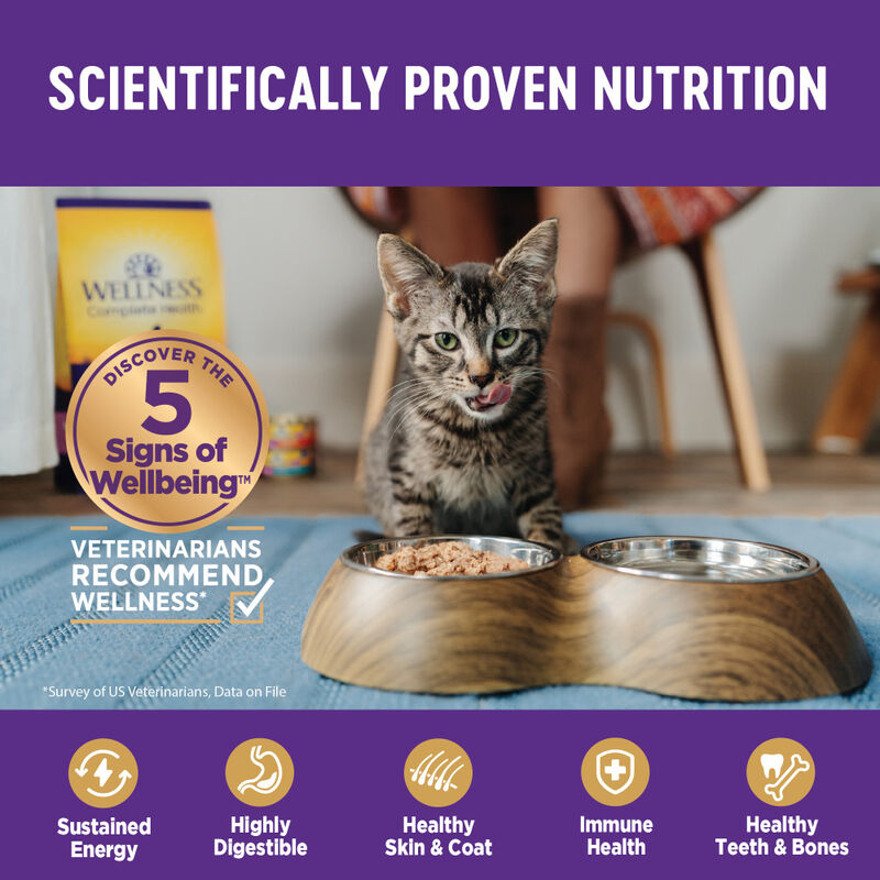 Wellness Complete Health Pate Canned Cat Food, Turkey image number null